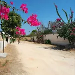 Scelsa