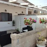 فيلة Scelsa