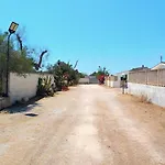 فيلة Scelsa